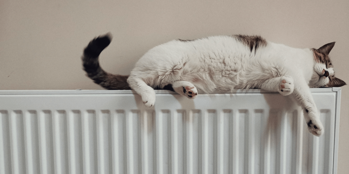 A cat lying on top of a radiator