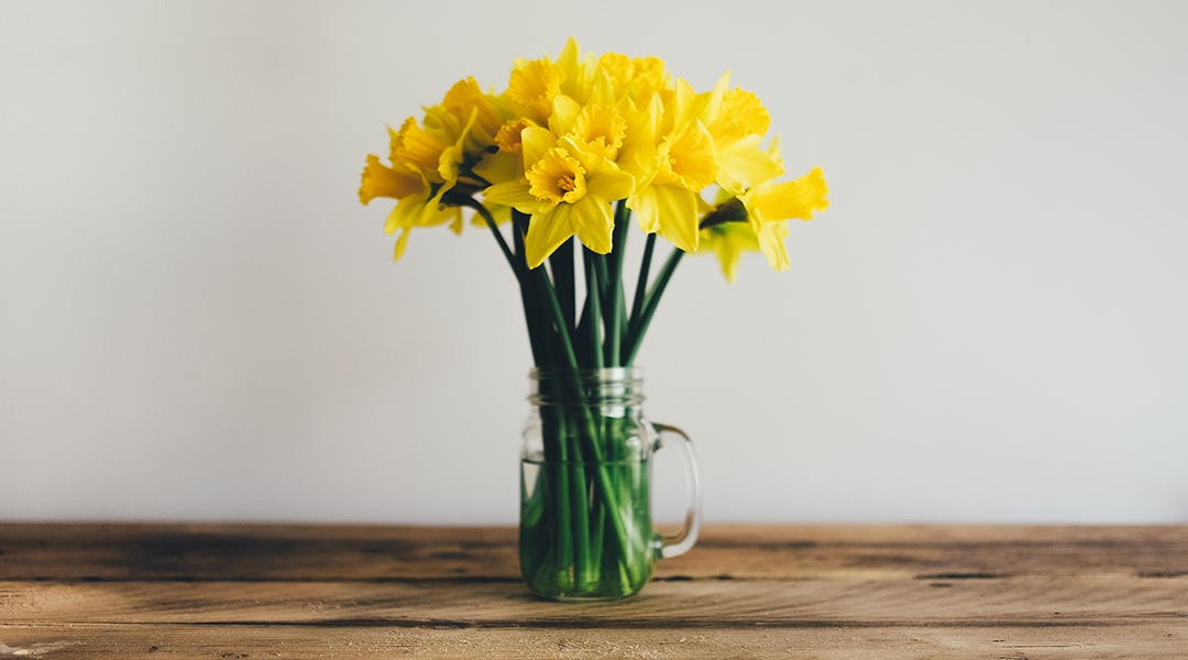 A vase of daffodils