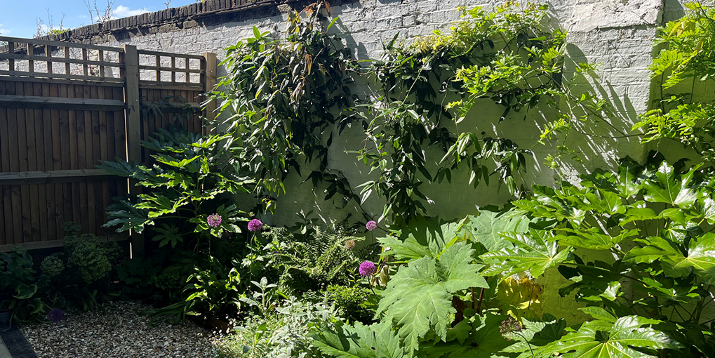 Polly's garden at Hawkesley House.