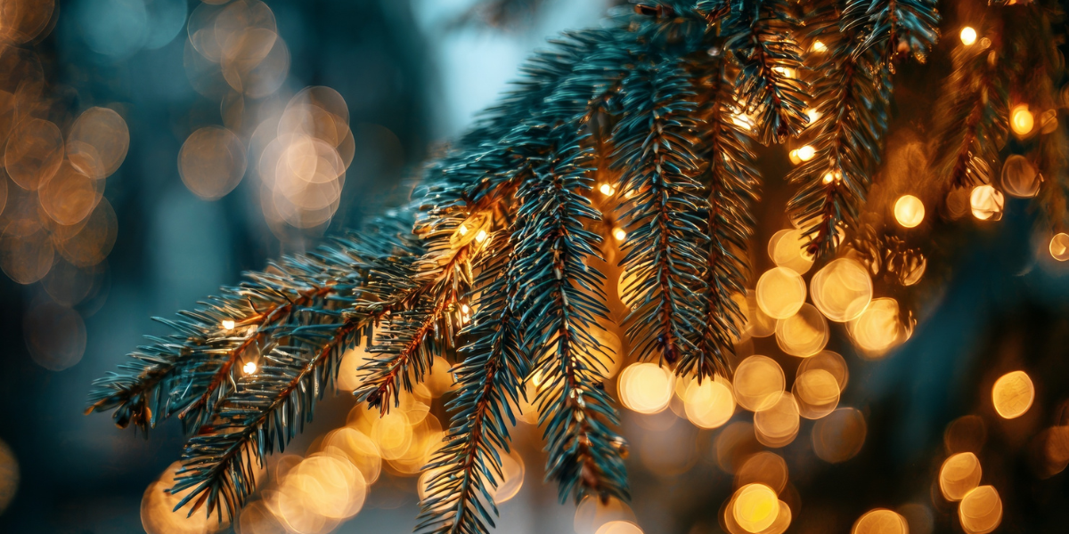 A close up image of a Christmas tree with fairy lights.