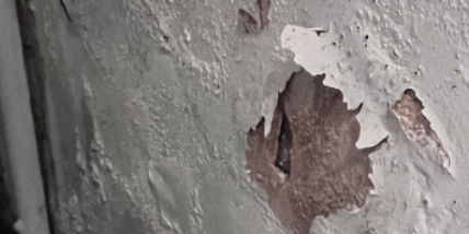 An example of rising damp on a wall.